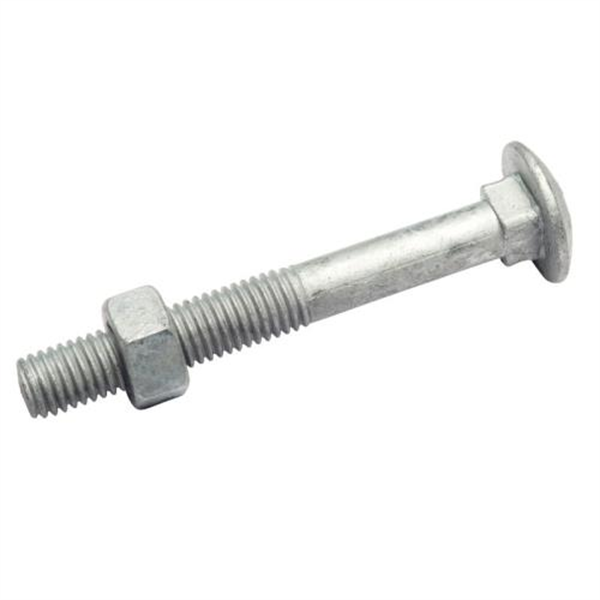 M10X100 Coach Bolt & Nut - Galv