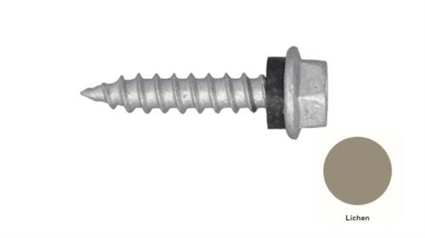 10G-12x25mm Hex Head Self Drilling Timber Screw - Galv + Seal-LICHEN