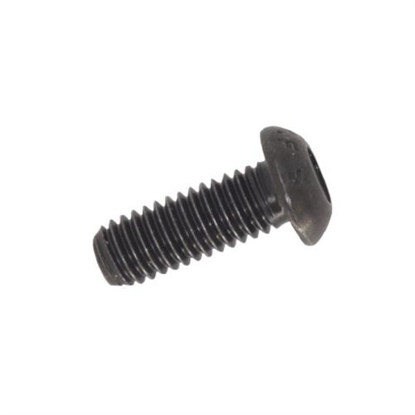 M10X100 Socket Button-Head Screw - Black