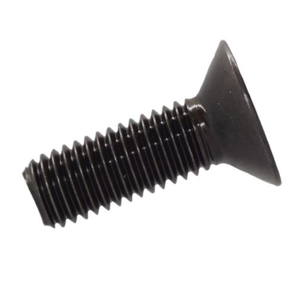 M10X100 Socket Countersunk Screw - Black