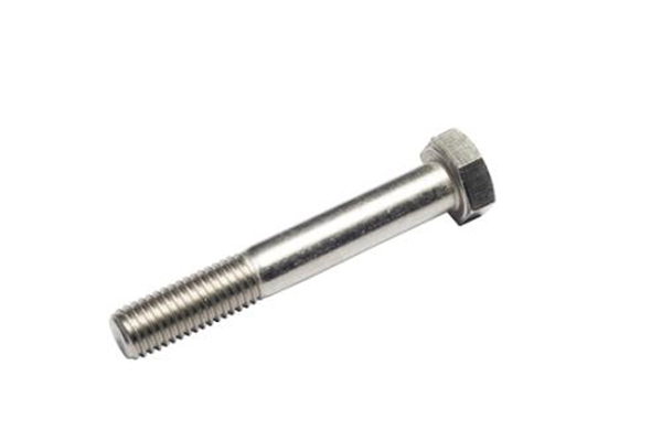 M10X100 Stainless Steel 304 Hex Head Bolt Only