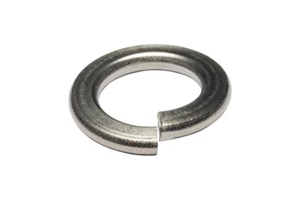 M10 Stainless Steel Spring Washer - 316